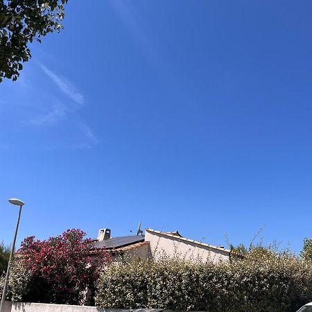 Villa Des Romieux Pinet  Dış mekan fotoğraf